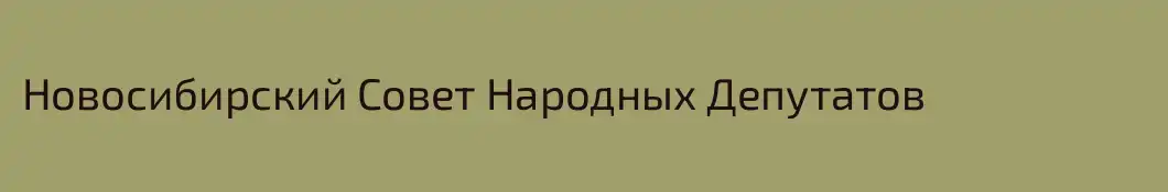 Новосибирский Совет Народных Депутатов